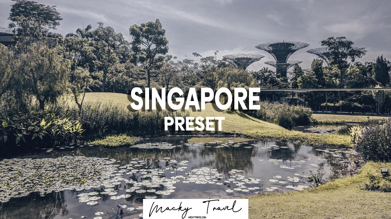 free-dng-xmp-singapore-lightroom-mobile-presets.jpg