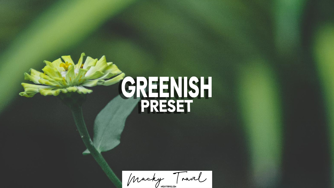 greenish-lightroom-presets.jpg