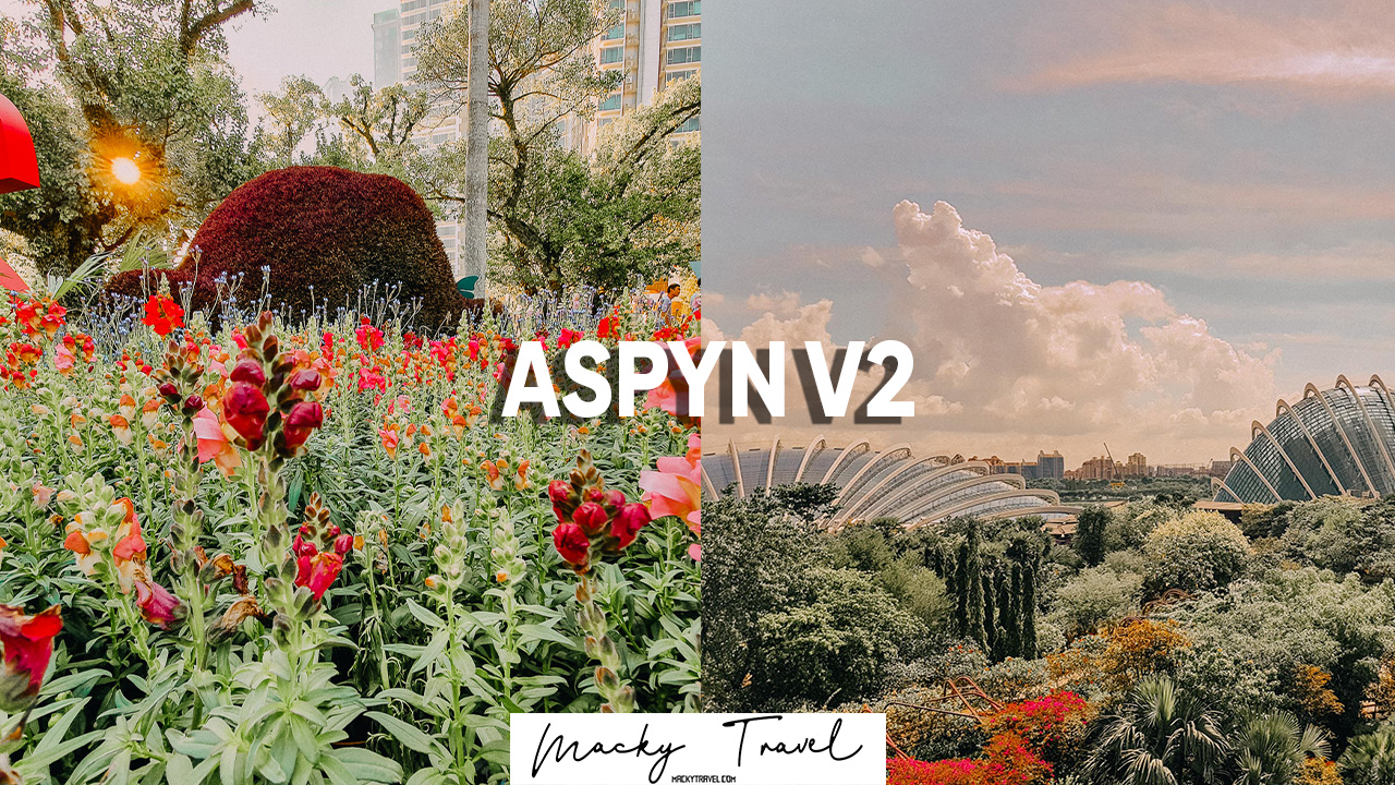 free dng xmp Aspyn Ovard lightroom mobile preset