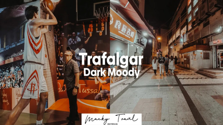 Trafalgar dark moody lightroom preset