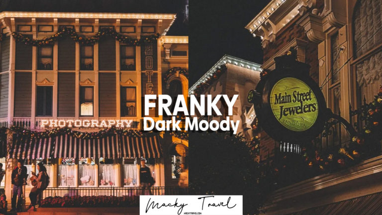 franky dark moody lightroom preset