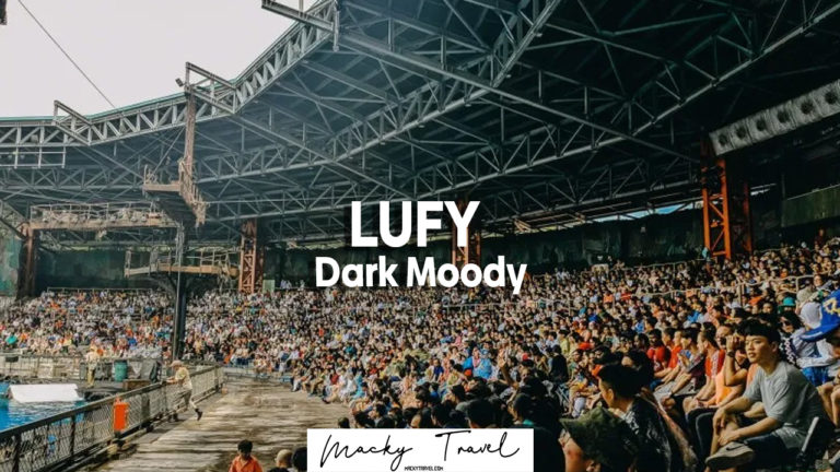 lufy dark moody lightroom preset
