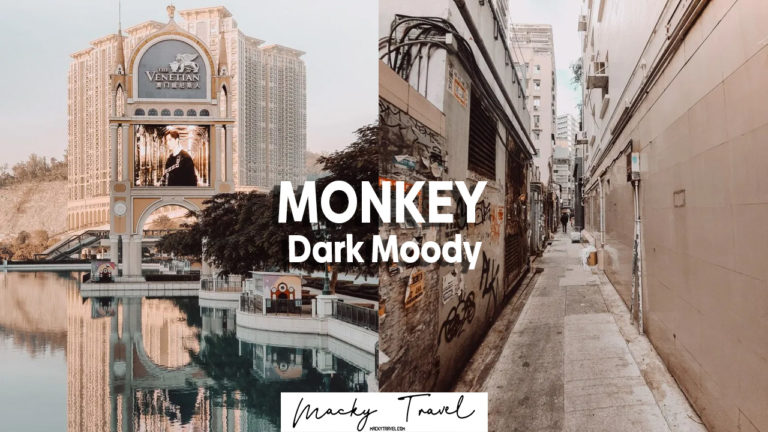 monkey dark moody lightroom preset