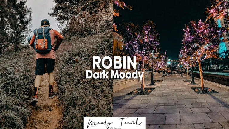robin dark moody lightroom preset