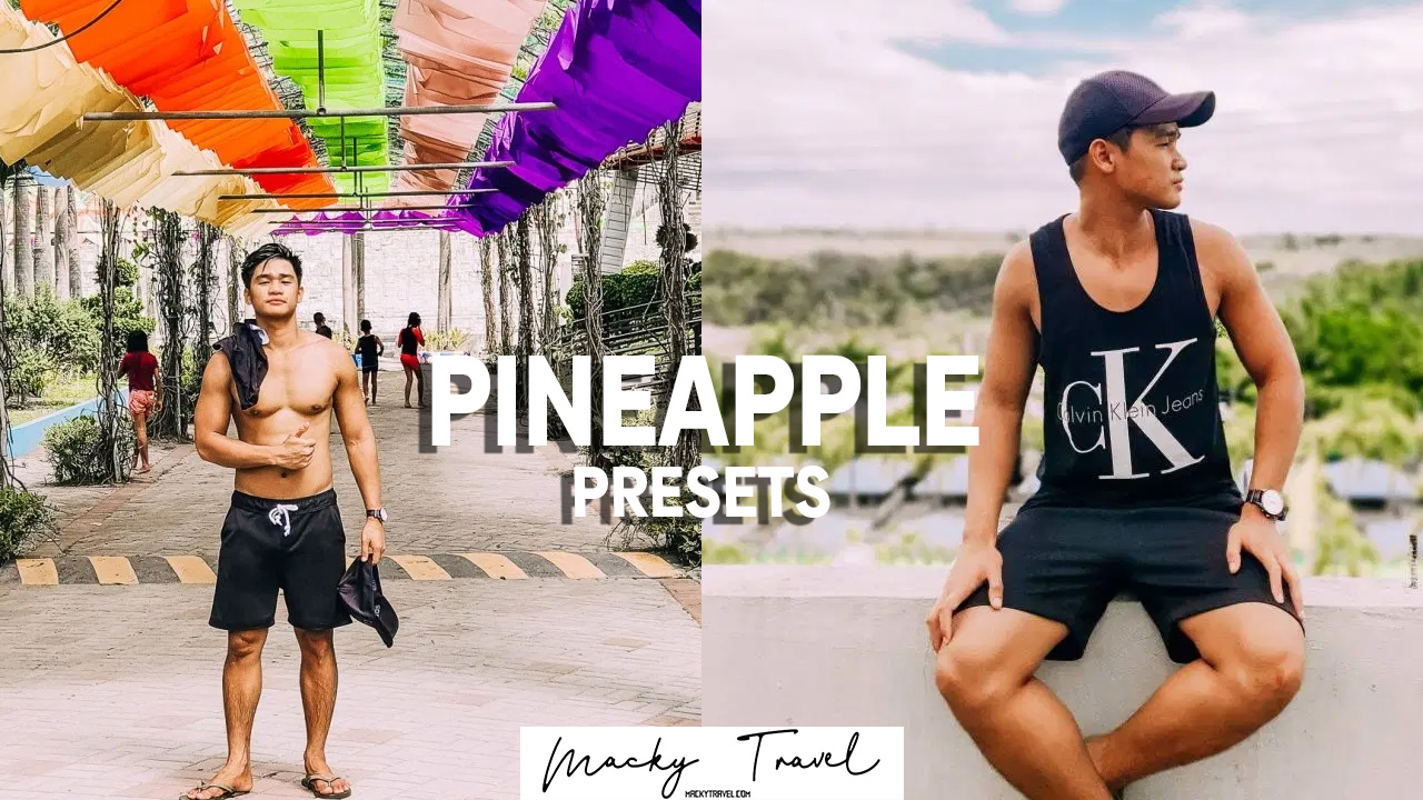 pineapple-lightroom-presets.jpg