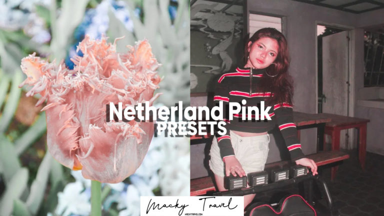 2 Netherland Pink lightroom presets