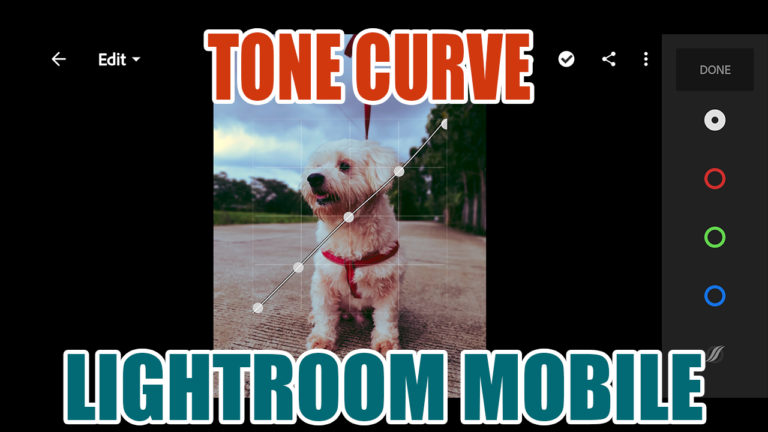 tone curve