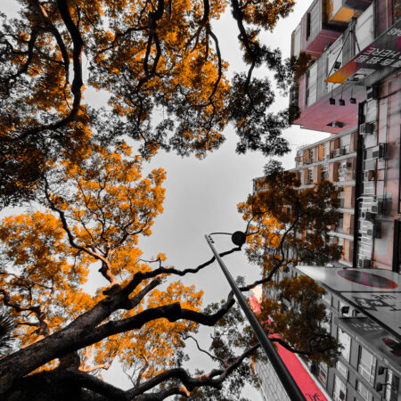 Orange Vibe