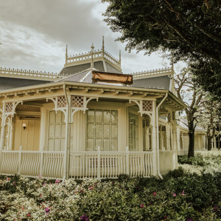 Vintage Green Premium Lightroom Presets