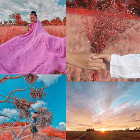 Fire Red Premium Presets for Lightroom Mobile & Desktop