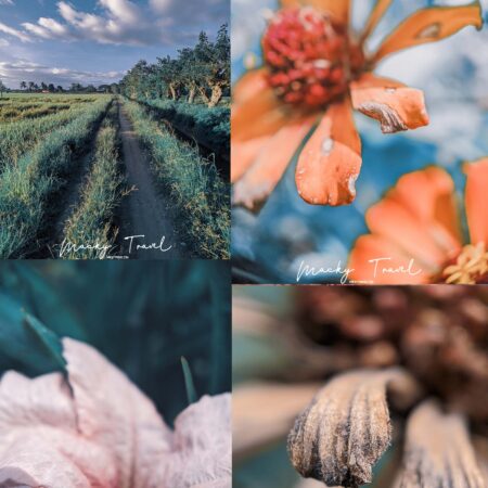 Teal Blue Premium Presets for Lightroom Mobile & Desktop